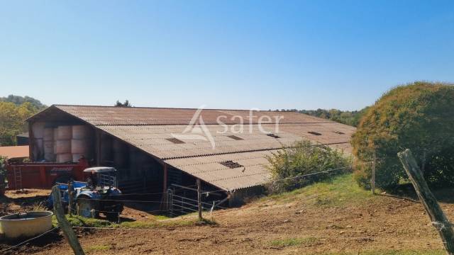 Proche aignan - propriété de 38 ha