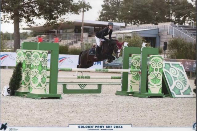 Debourage  travail poneys chevaux