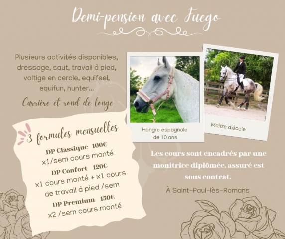 Demi pension cheval espagnol