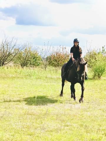 Cavalière soigneuse - entraînement 