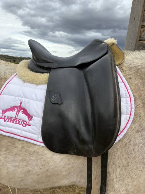 Selle de dressage forestier carlos pinto 16,5
