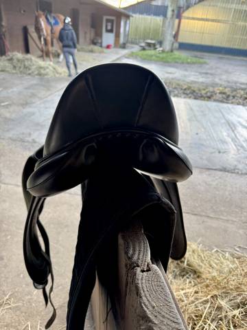 Selle dressage childeric