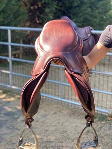 Selle cwd demoiselle