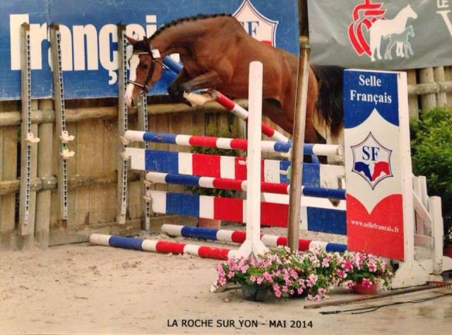 Jument par kalaska de semilly