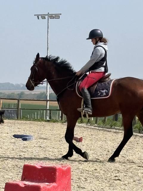 Kir royal - jument de 5 ans