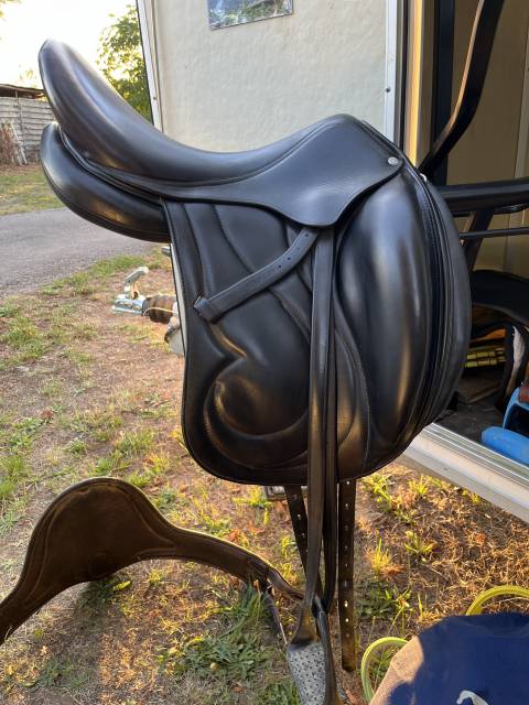 Antares dressage cadence 