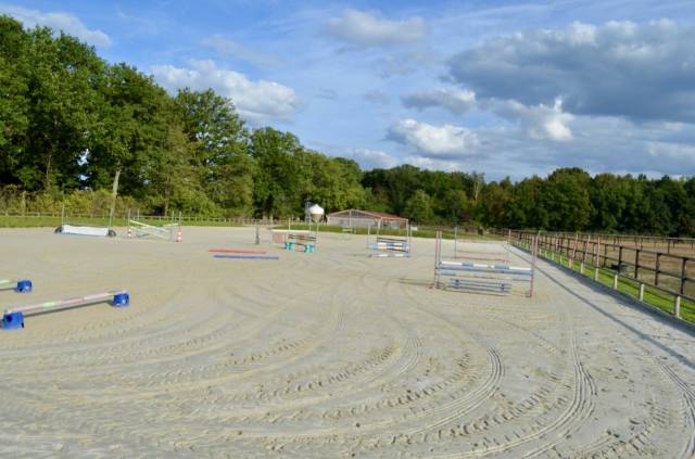 Pension boxs xxl avec pré et paddock en herbe