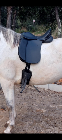 Selle dressage ludomar 