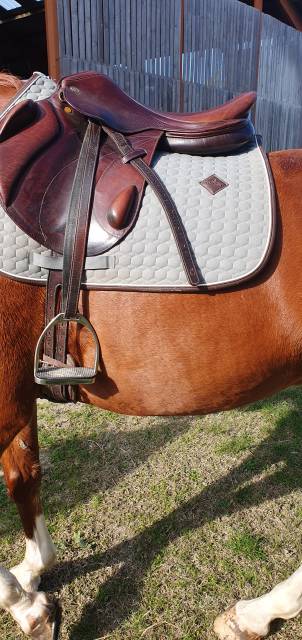 Selle cso/cross monoquartier eric thomas