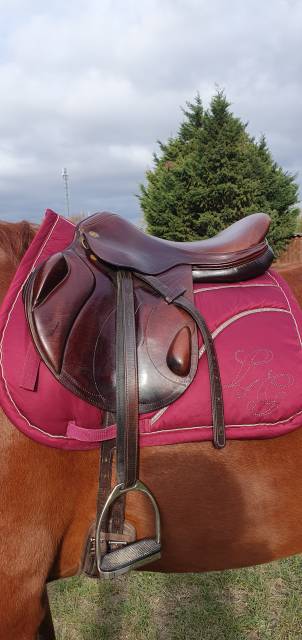 Selle cross lion  monoquartier eric thomas