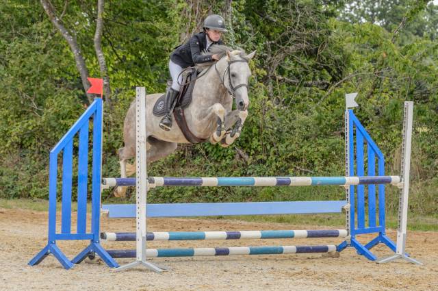 Poney de sport