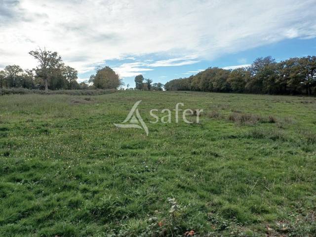 Ensemble foncier d'environ 4 hectares.