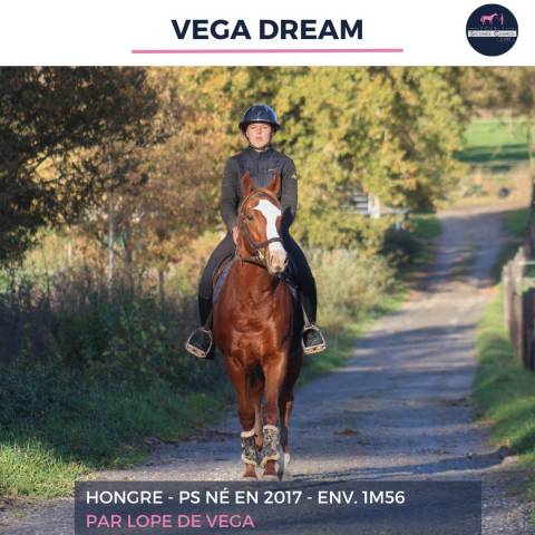 Vega dream - ps - 8 ans