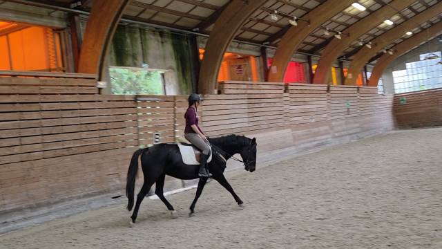 Soigneuse - cavalière - gardiennage