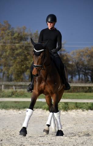 Jument dressage par secret 