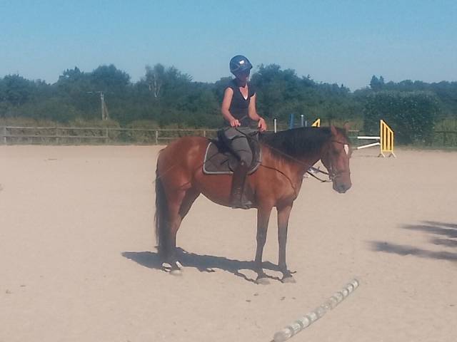 Jument onc loisirs enseignement rando