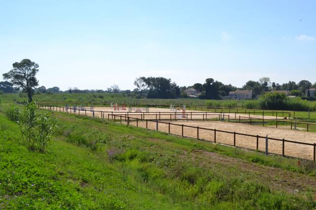 Pension chevaux - haras de tournefort