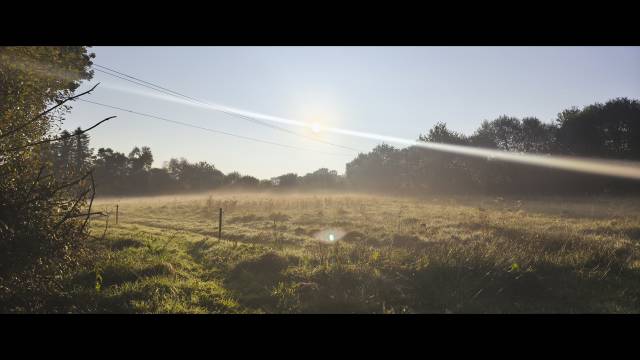 Pension familiale pour chevaux et poneys