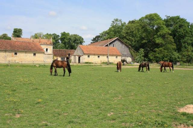 Apprentissage dans écurie de propriétaires