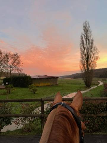 Pension écuries des basses lisières