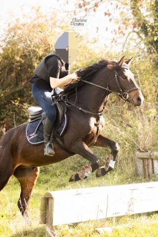 Loustic: sous le sapin