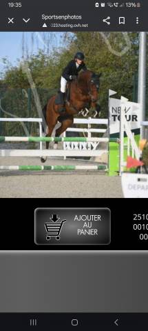 Cheval sf par kannan 14 ans 