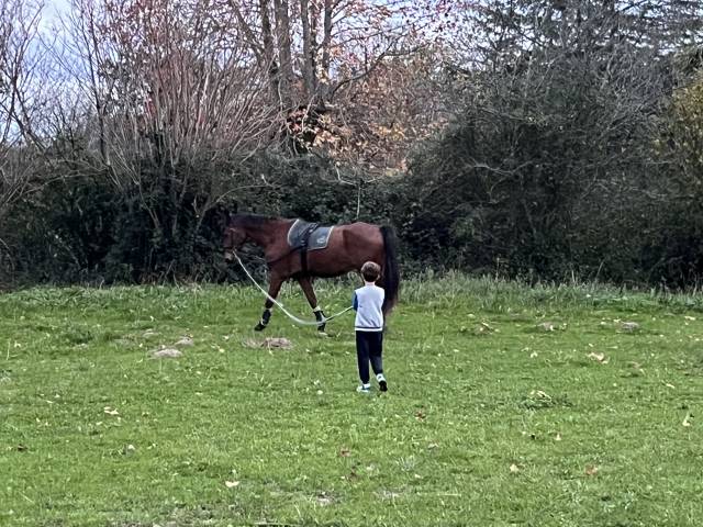 Pension box/pré 15 min de bayonne