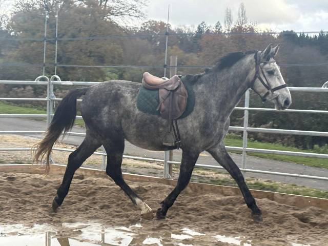 Male 3 ans sf par catchar mail 