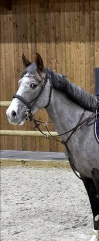 Super ponette 10/10 en ccjp5 ans 