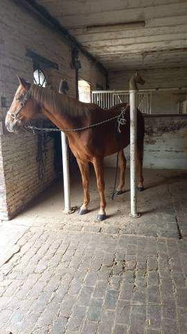 Jalko - demi pension 