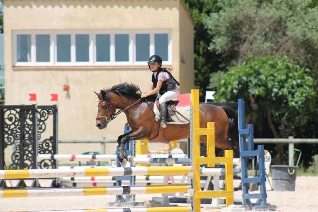 Ponette new forest 8ans