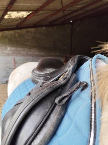 Selle eric thomas lugano 