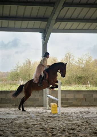 Cherche demi pension