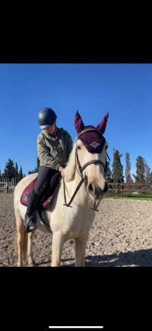 Jument 4 ans et demi, prometteuse et polyvalente