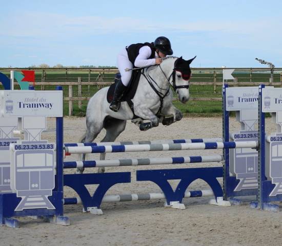 Poney d sport 