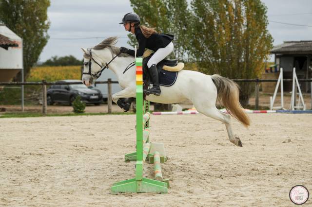 Ponette b / a vendre