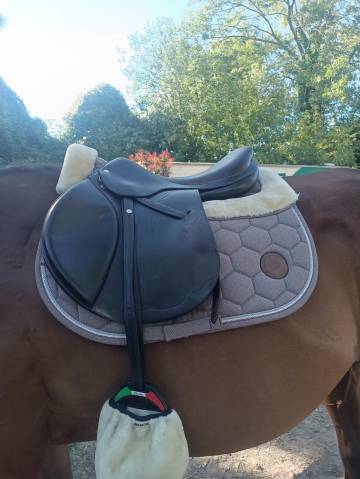 Selle équipe expression 