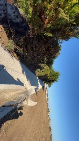 ? recherche apprentissage bpjeps 