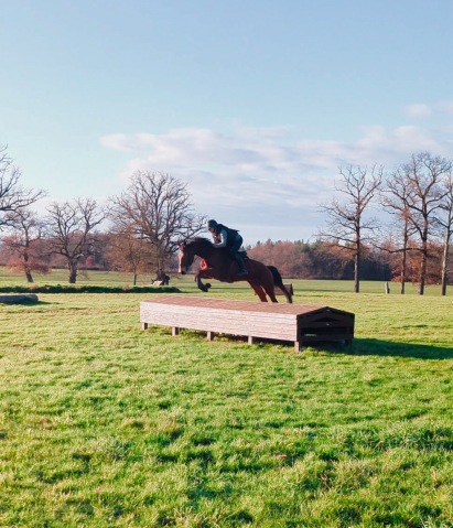 Jument - 6ans - cso hunter cce