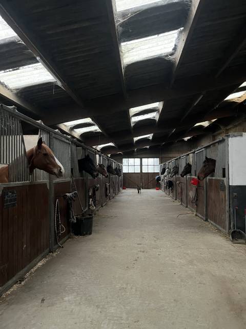 Ecurie de propriétaire 