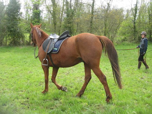 Tf loisir  rando trec 