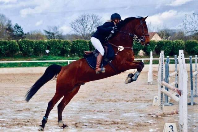 Monitrice/cavaliere motivée 