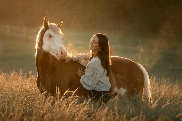 Poulain plein papier a vendre