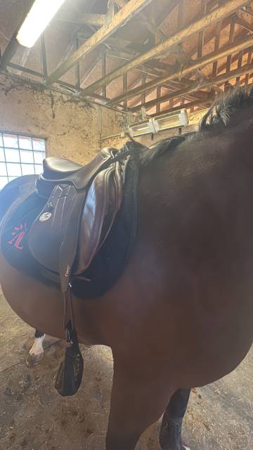 Selle meyer 2020 - 17 /4 arçon ouvert 