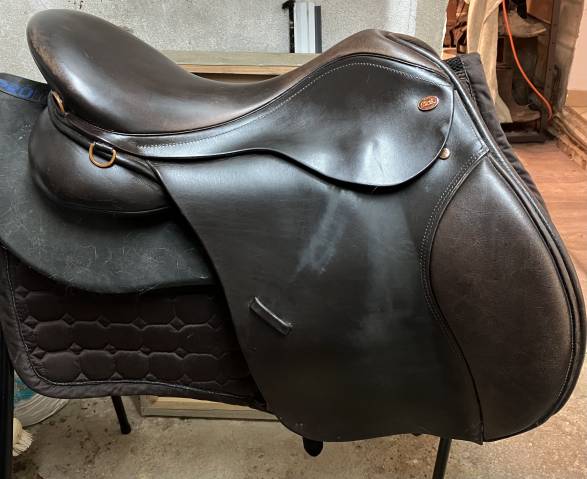 ? selle kent & masters high wither gp – 17,5” — très b