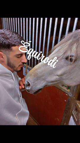 Recherche poste de palefrenier lyon 69