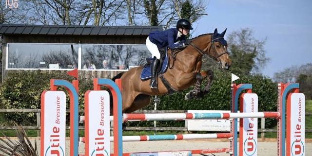 Hongre 9 ans sf a vendre