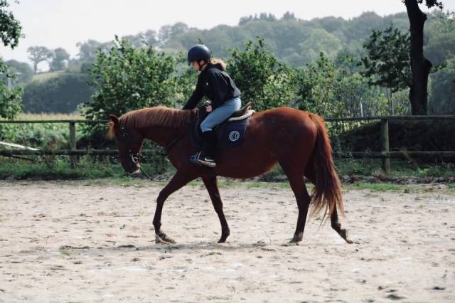 Demie pension jument petit prix