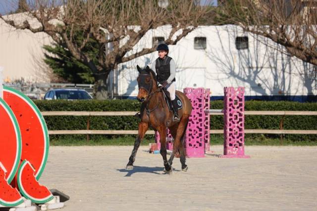 ‼️sf de 6 ans cavalier expérimenté ‼️