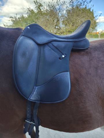 Selle wintec dressage isabell werth cair hart